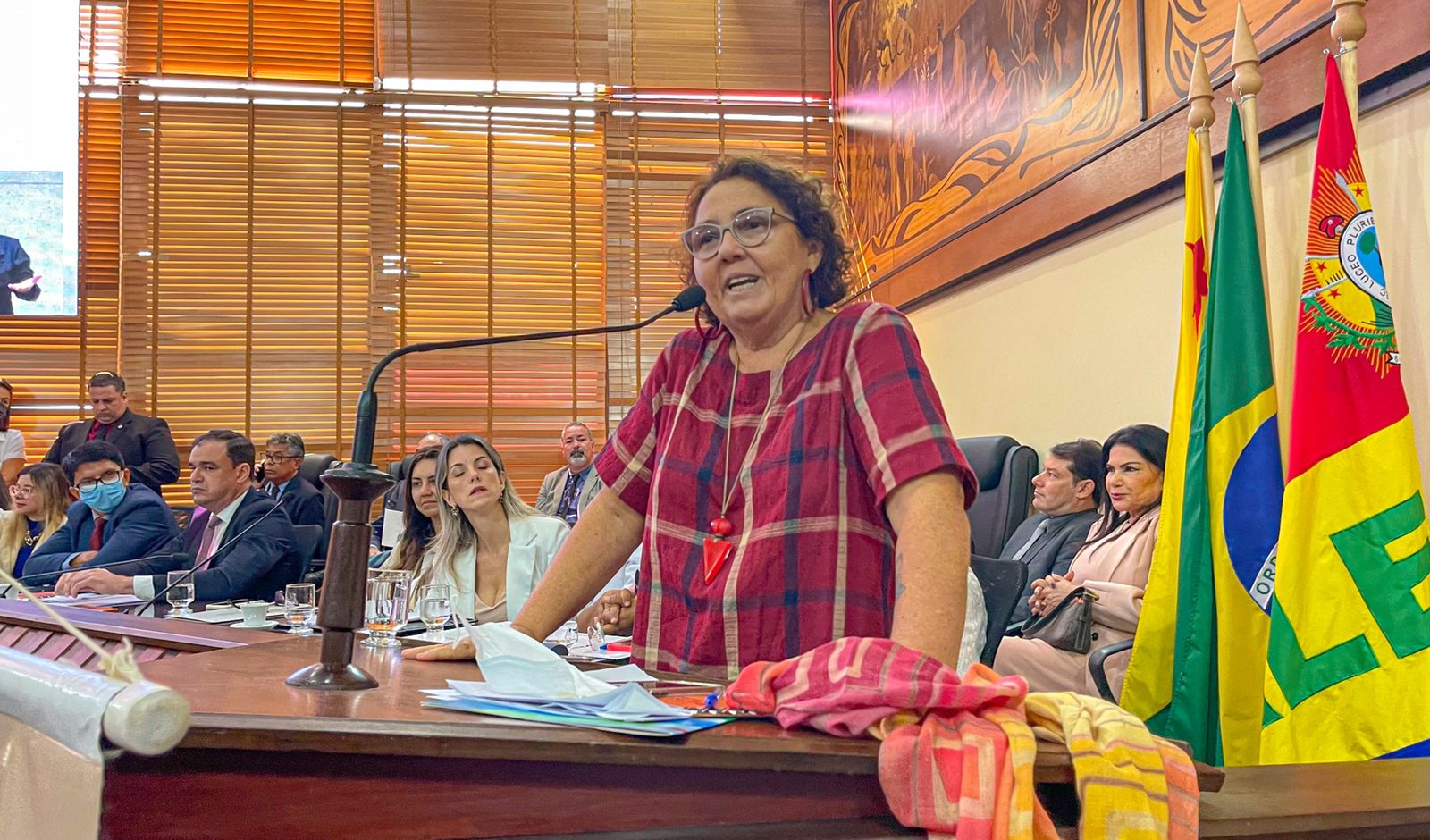 Conselheira Naluh Gouveia se emociona na Aleac ao lembrar de abusos aos 16 pelo padrasto